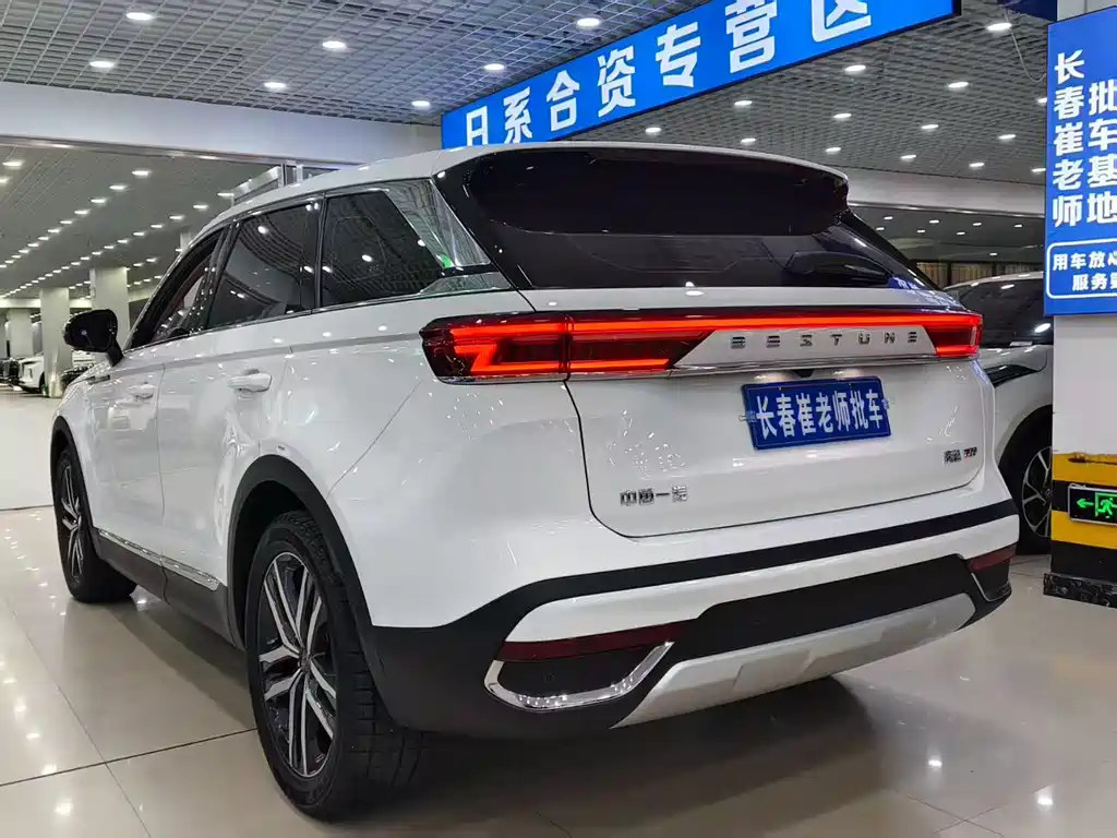 Pentium T99 2023 2.0T automatic exclusive type (6AT)