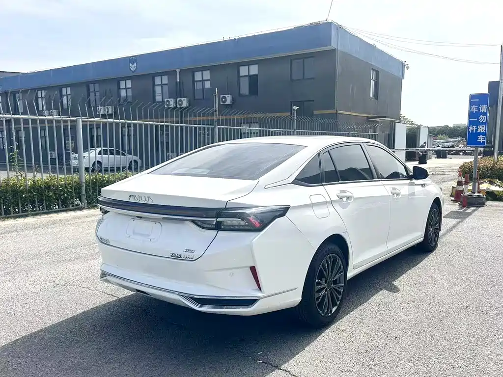 Yixuan MAX 2021 1.5T Extraordinary Cute Dad Edition