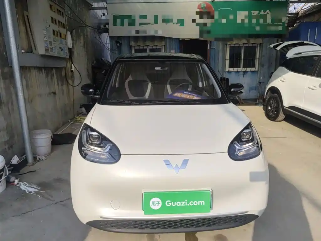 Wuling Bingguo 2024 Model 203km Light Enjoyment Model