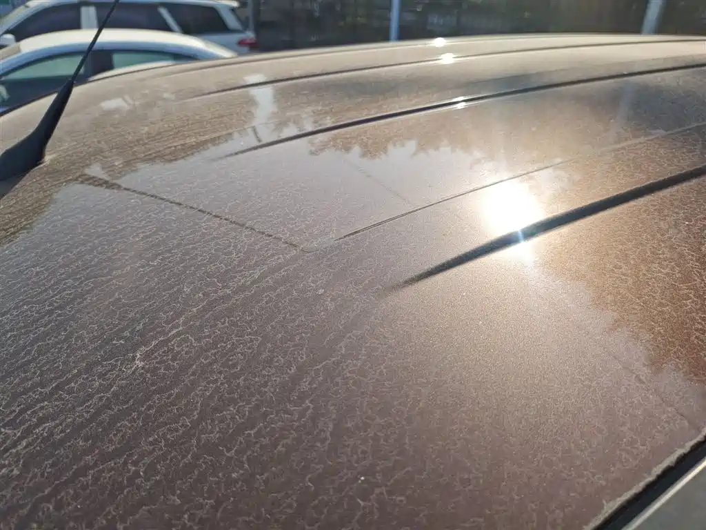 Фото машины 18