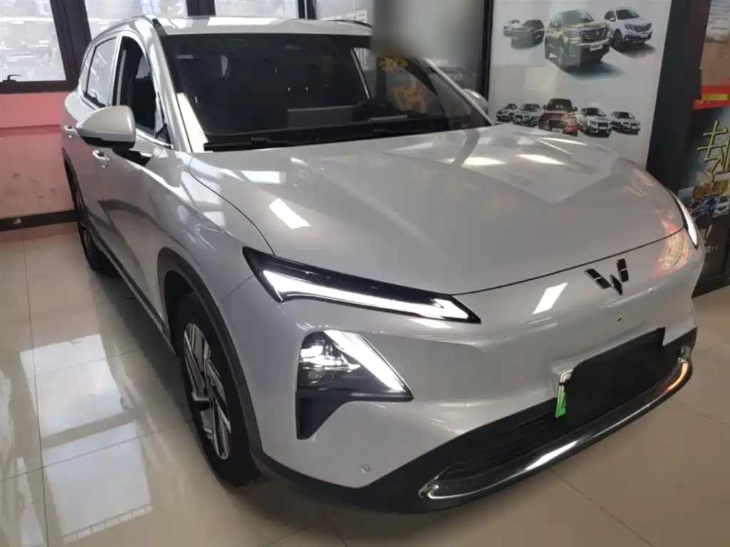 Wuling Xingguang S 2024 130km Flagship Model