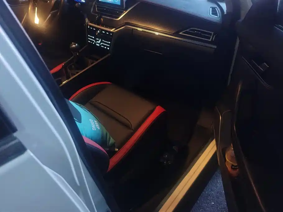 Qichen T60 2020 1.6L Manual Intelligent View Version Country VI