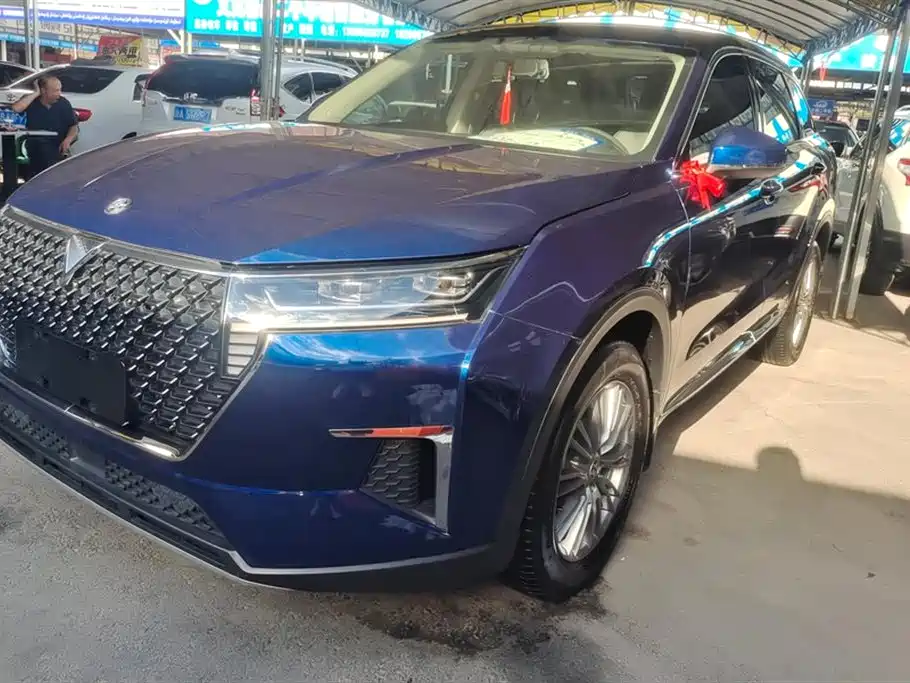 Qichenxing 2023 260T Xingshang Edition Pro