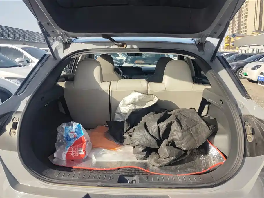 Qichen Big V 2021 260T Love Bean Version