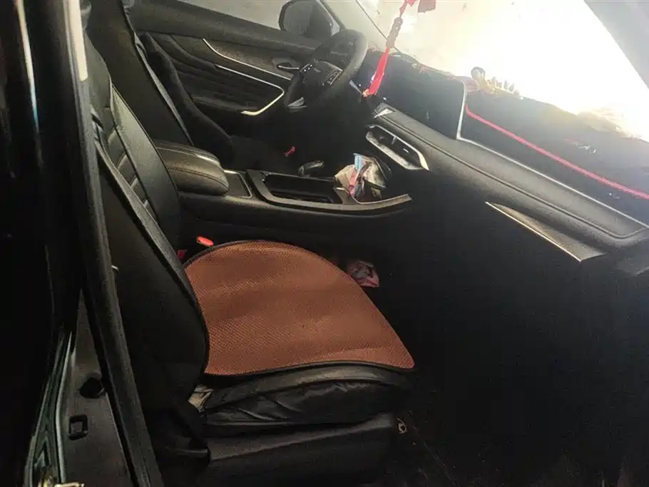 Qichen Big V 2023 260T Dark Horse Version Pro