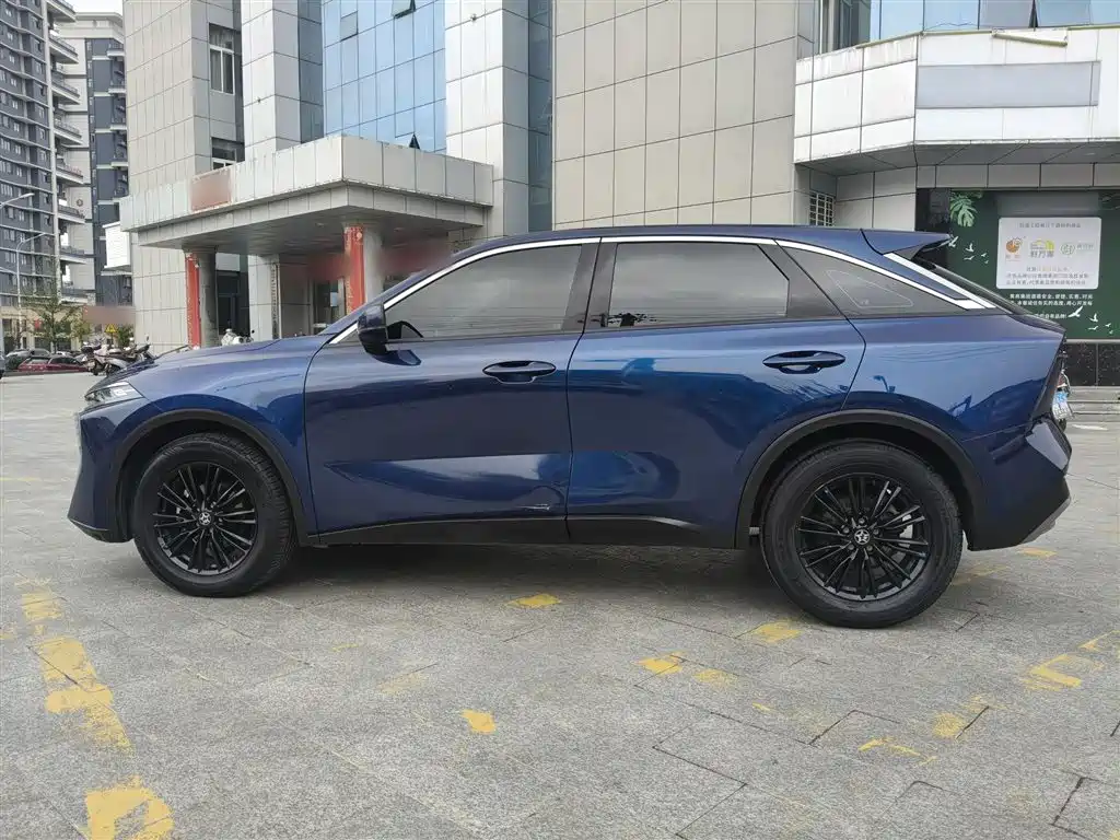 Qichen Big V 2021 260T Love Bean Version