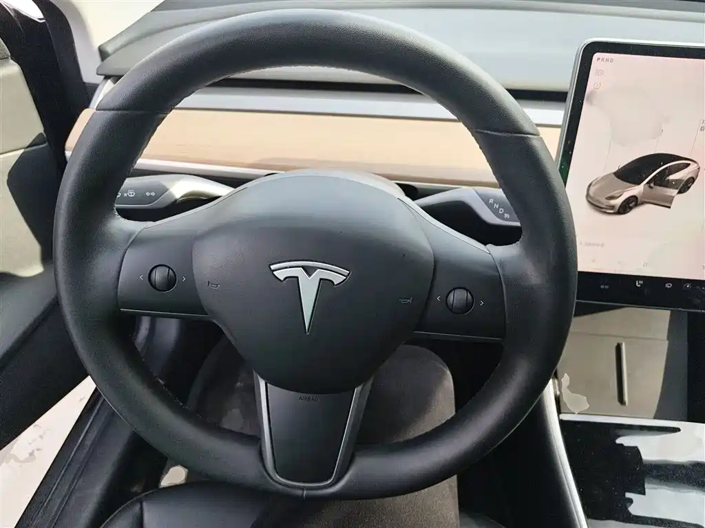 Model 3 2020 standard battery life rear drive upgraded version