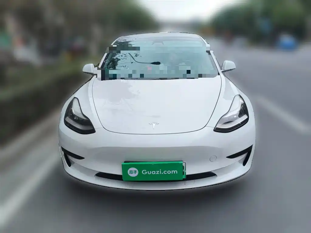 Model 3 2020 standard battery life rear drive upgraded version