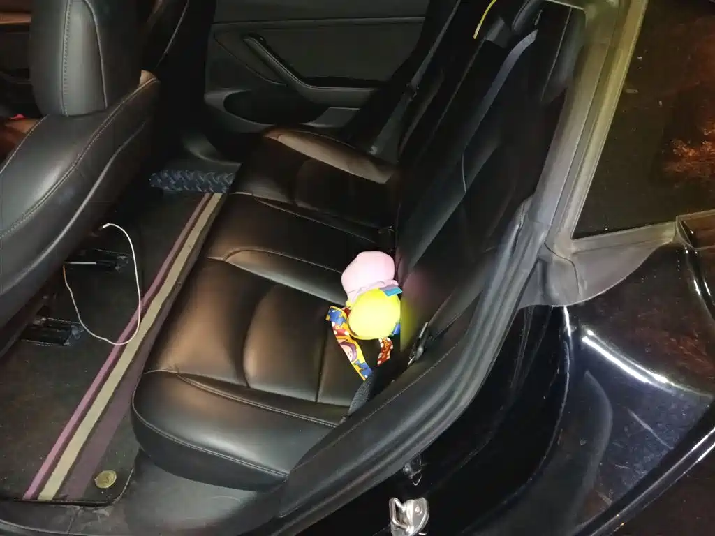 Model 3 2021 standard battery life rear drive upgraded version