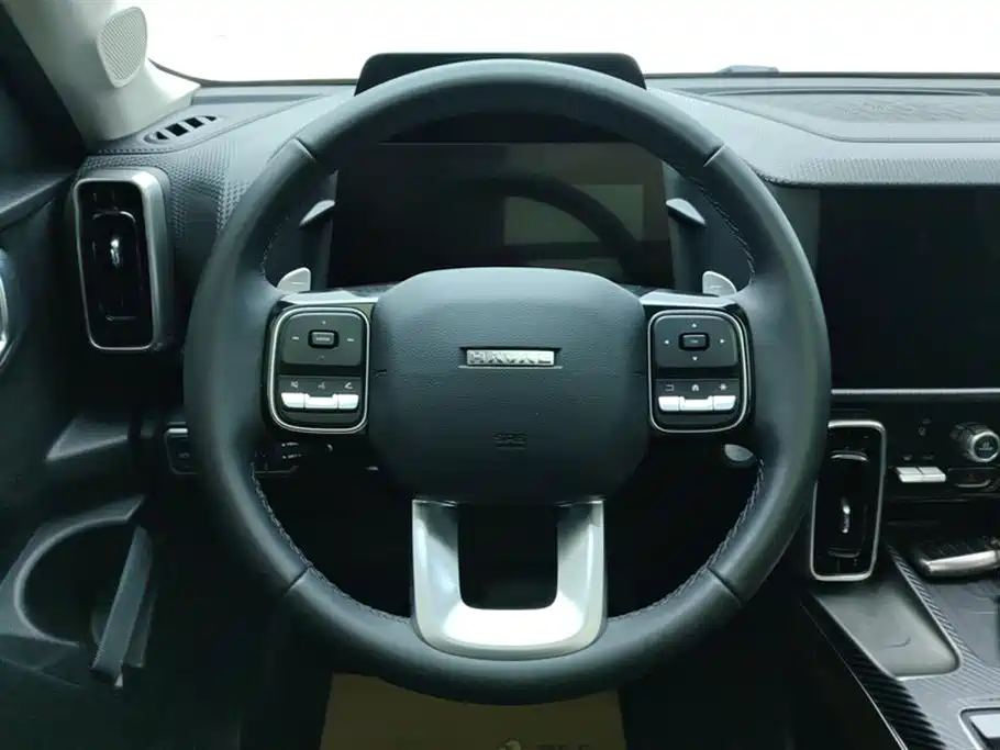 Haval Big Dog 2024 1.5T DCT Border Shepherd Version