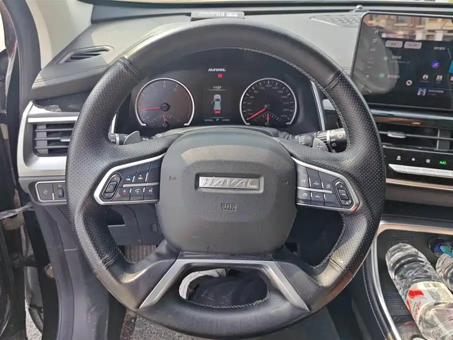 Haval H6 2021 National Tide Version 1.5T Automatic Champion Version