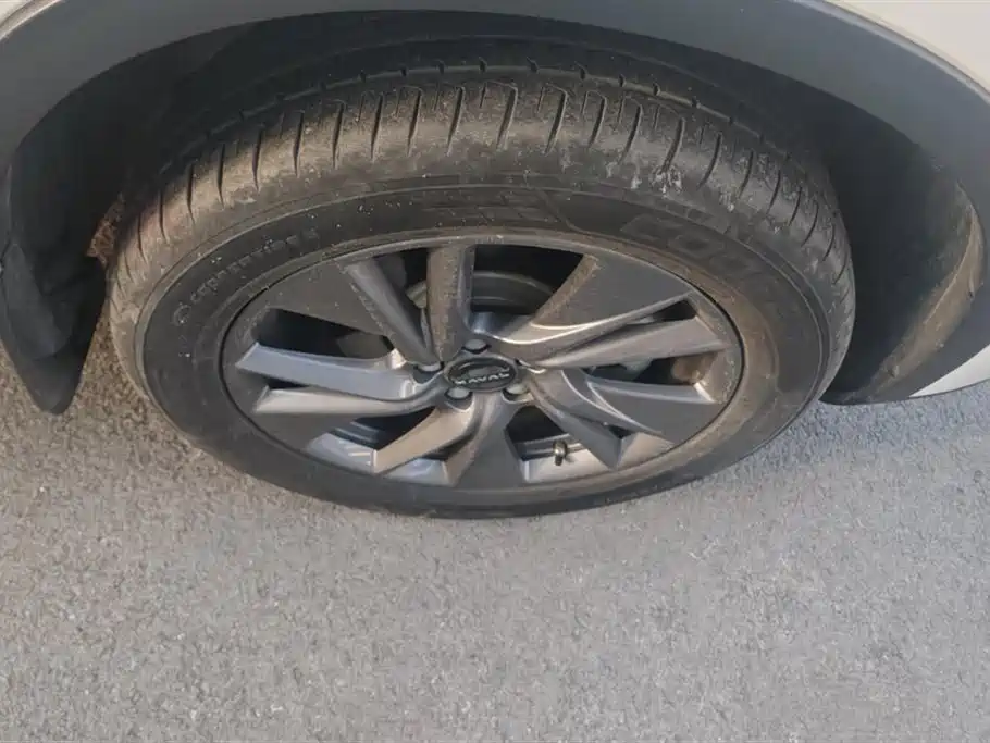 Harvard H6 New Energy 2023 DHT-PHEV 110KM Yuexing Edition