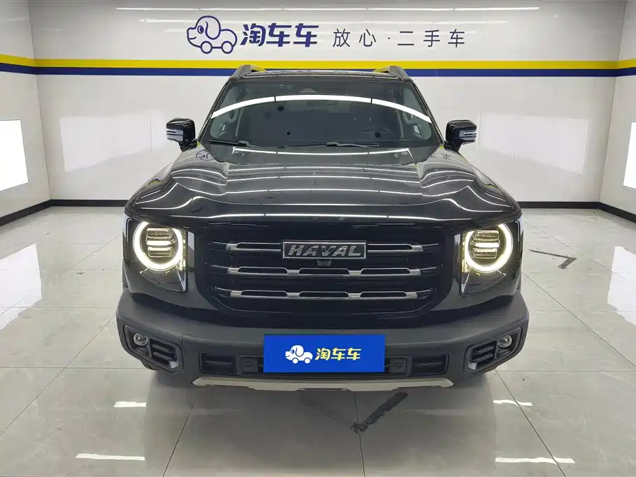 Haval Big Dog 2022 1.5T DCT Two-wheel drive Side Shepherd Version