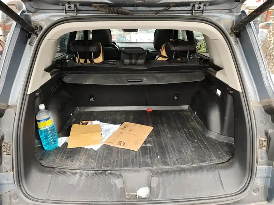 Haval Big Dog 2021 1.5T DCT Two-wheel drive Side Shepherd Version