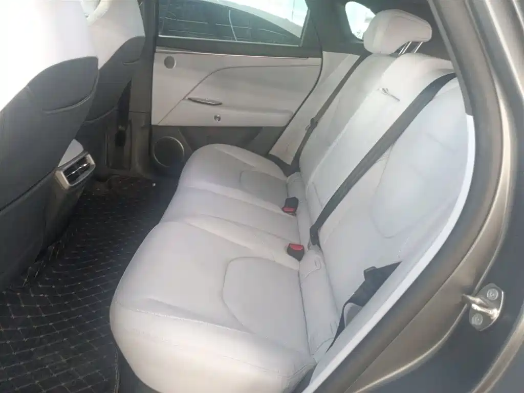 Polar Fox Alpha T5 2024 Model 660 MAX