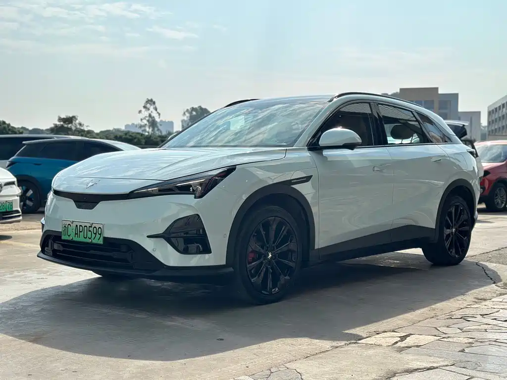 Polar Fox Alpha T5 2024 Model 660 MAX