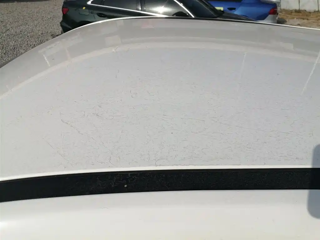 Фото машины 17