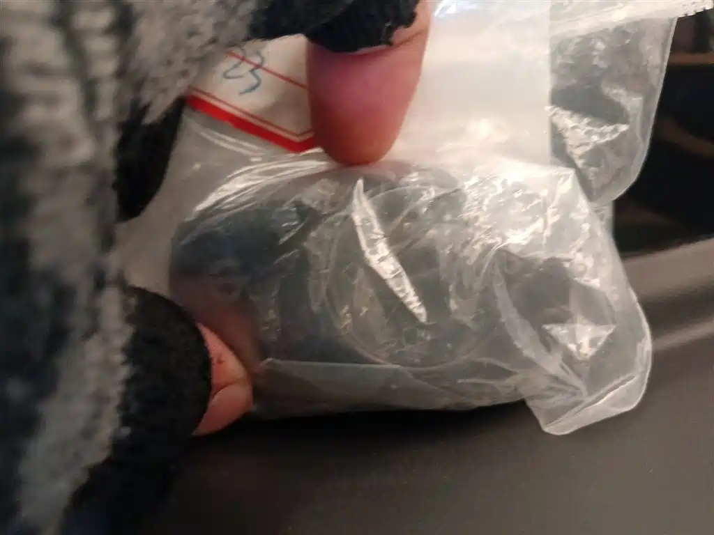 Zero run T03 2025 Model 310 Comfort Edition