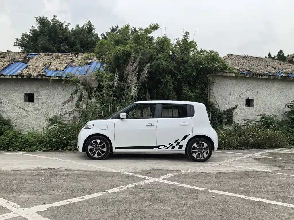 Euler White Cat 2020 Model 305km Luxury Type