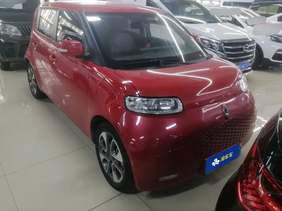 Euler White Cat 2020 Model 305km Luxury Type