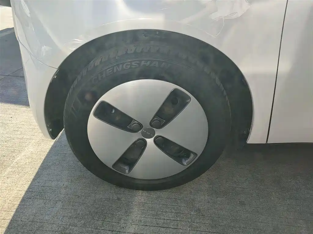 Euler Black Cat 2021 301km Cute Pet Version