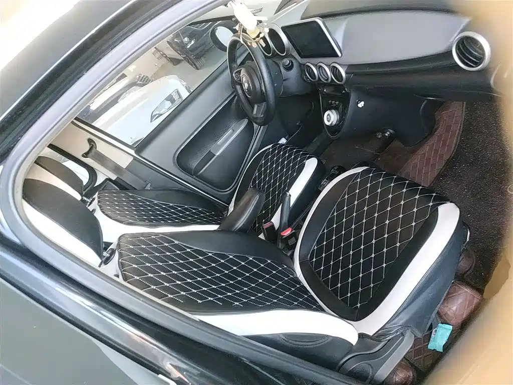 Euler Black Cat 2021 Model 301km Basic Type