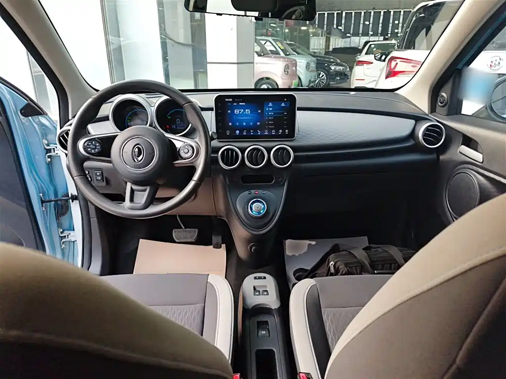 Euler Black Cat 2021 Model 351km Luxury Type