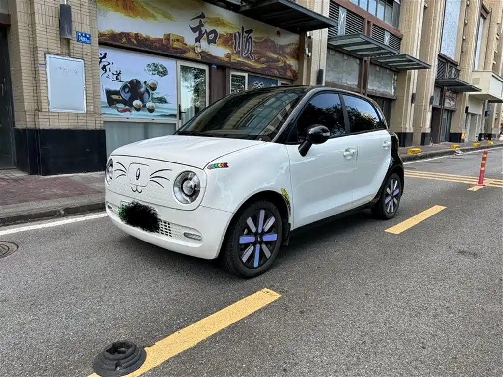 Euler Black Cat 2022 351km Luxury Ternary Lithium