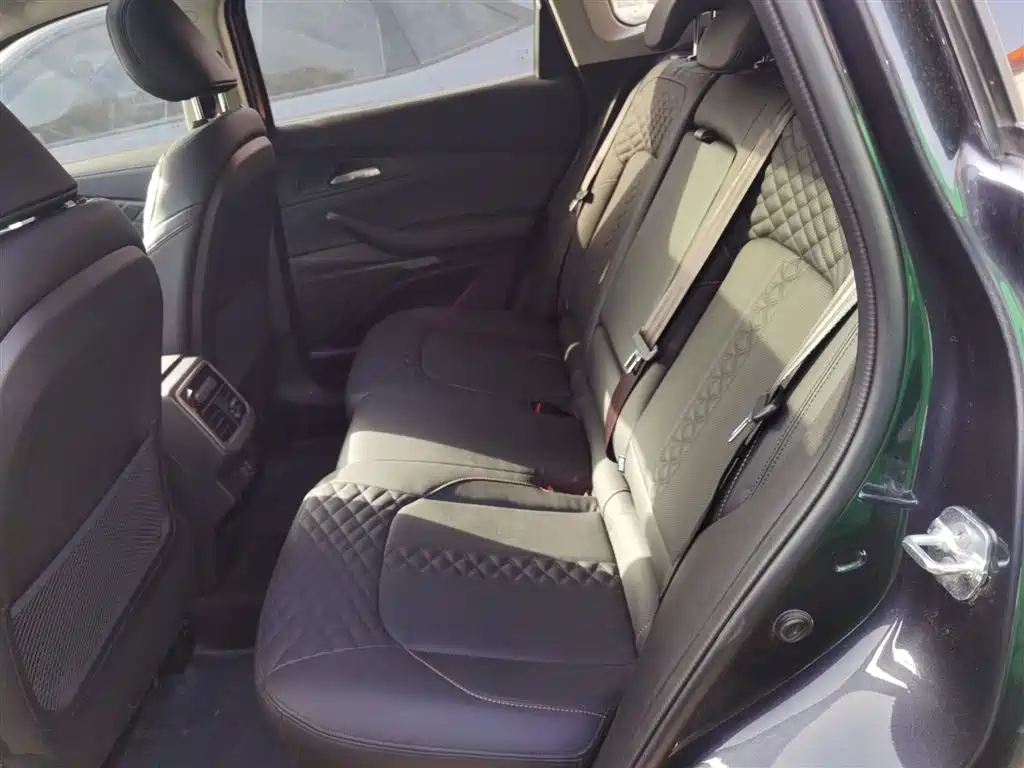 Xingtu TX 2021 Super four-wheel drive version 1.6T four-wheel drive Super No. 2