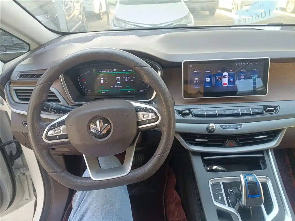 Maple Leaf 80v 2021 easy version ternary lithium