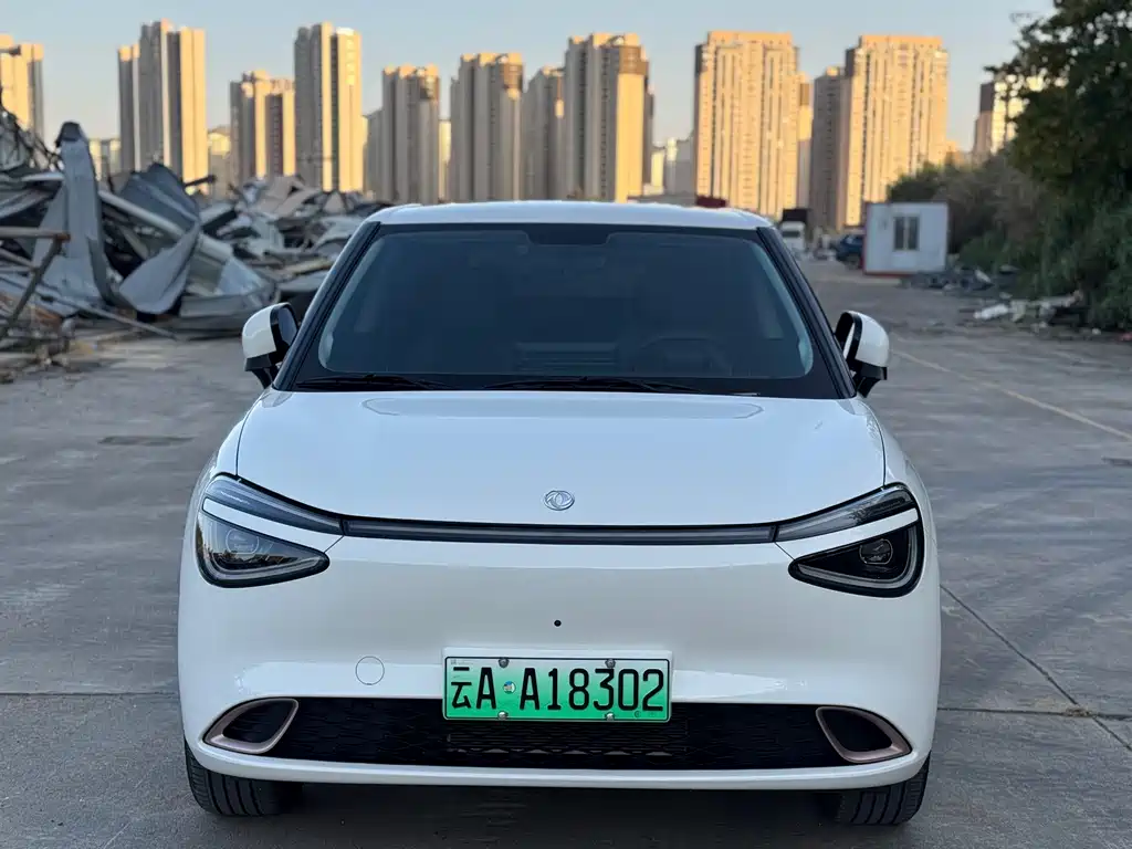 Nano 01 2024 new version 330 Plus Smart+