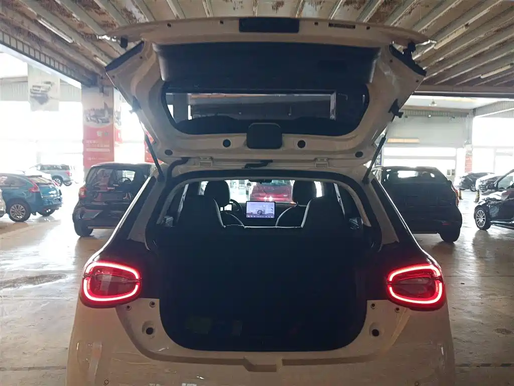 Nano 01 2024 new version 330 Plus Smart+