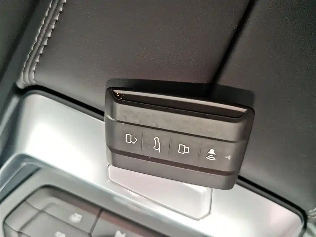 Tank 400 2025 2.0T gasoline version