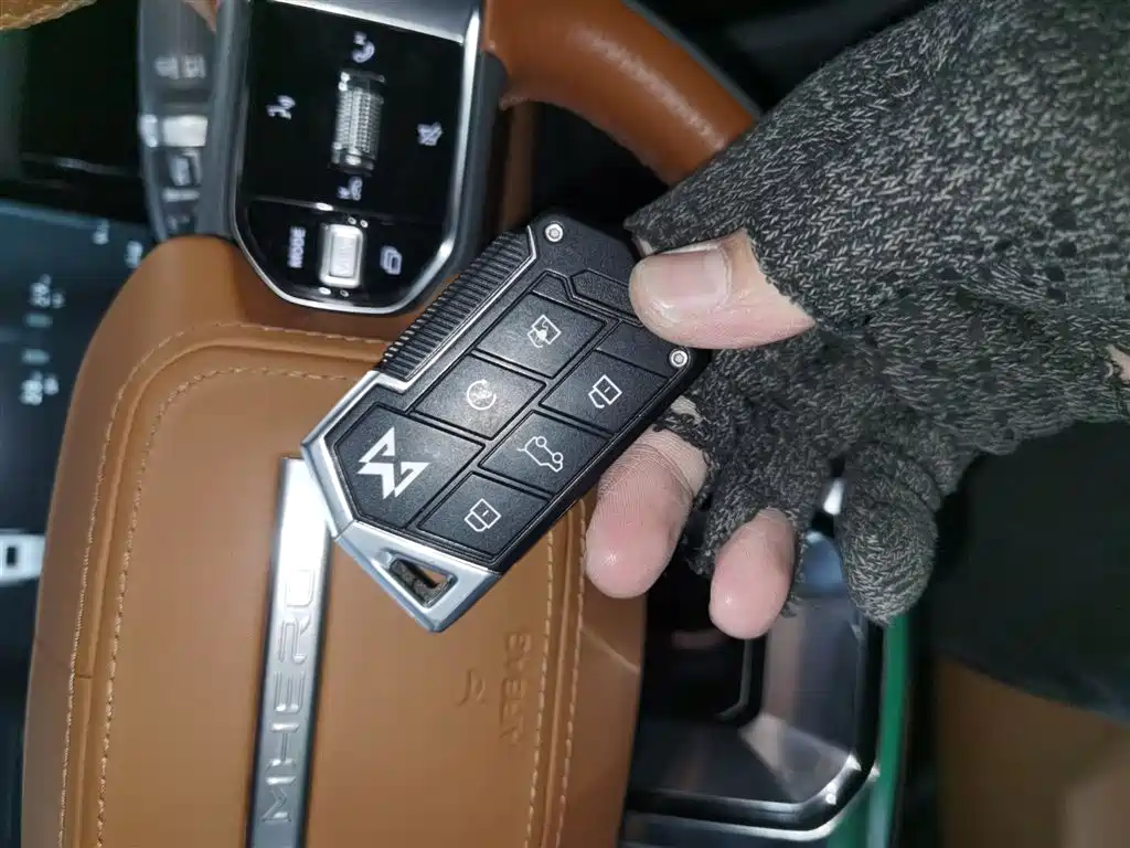 Warrior 917 2023 Pure Electric Basic Edition