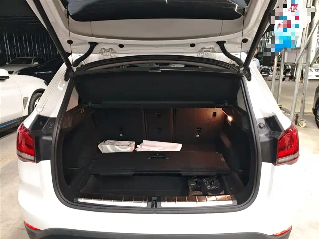 BMW X1 New Energy 2020 xDrive30Le Exclusive Type