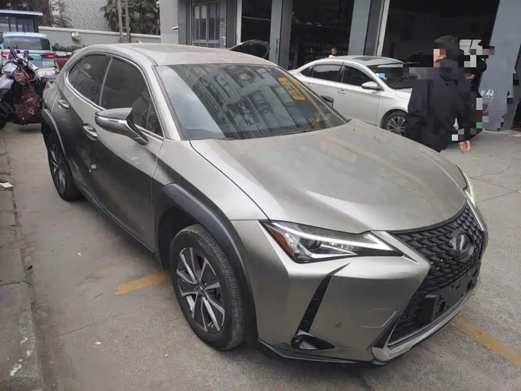 Lexus UX New Energy 2020 Model 300e Pure*Yue Edition