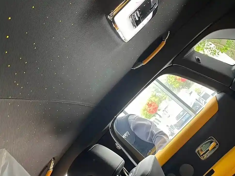 Gust 2021 6.7T standard wheelbase version