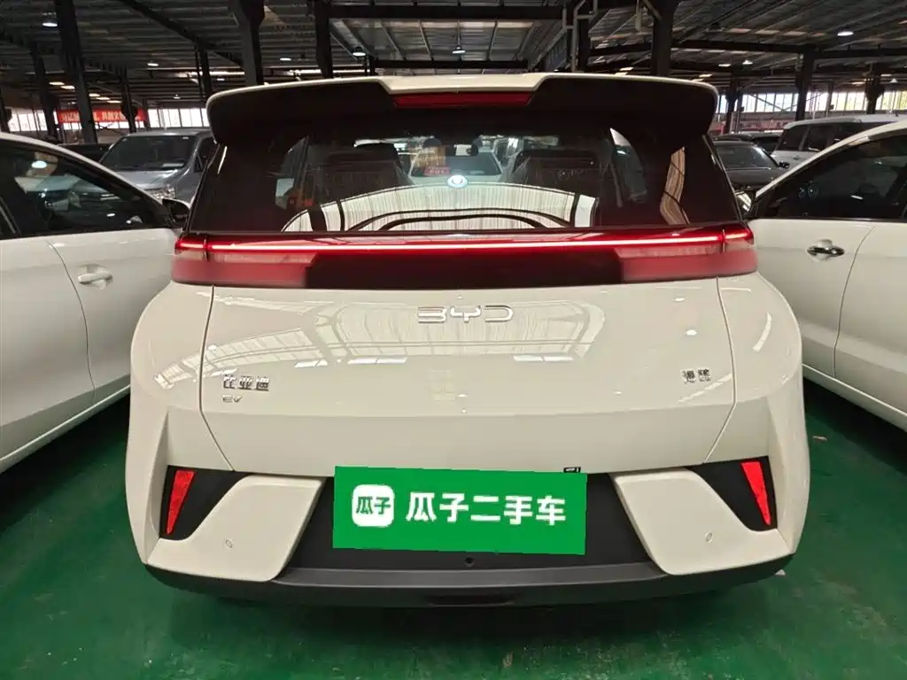 Seagull 2025 Smart Driving Version 305km Vitality Version