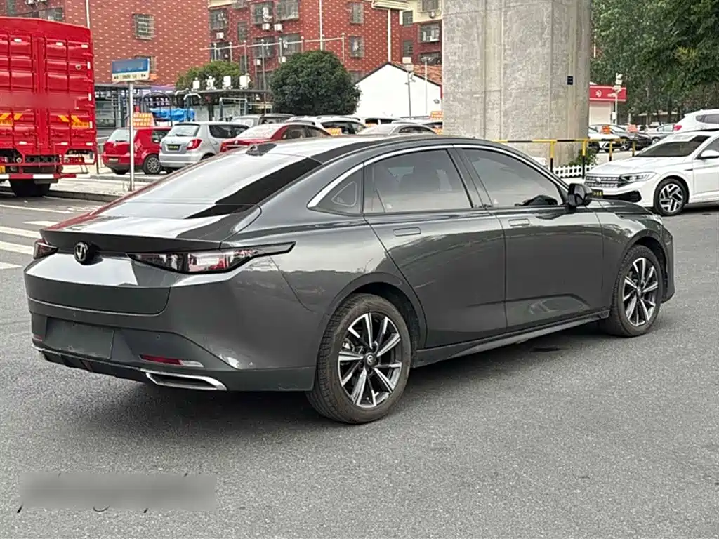 Yida 2023 Blue Whale NE 1.5T GDI DCT Pilot Type