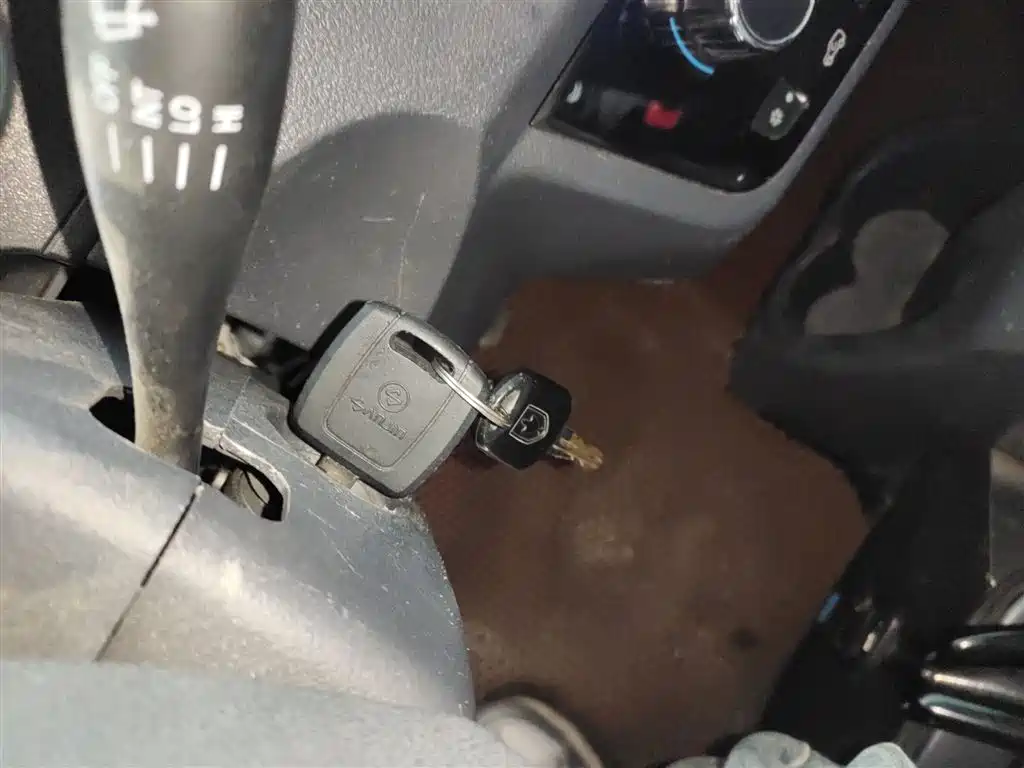 Little Sea Lion X30 2020 1.5L cargo Super Exclusive Country VI SWC15M