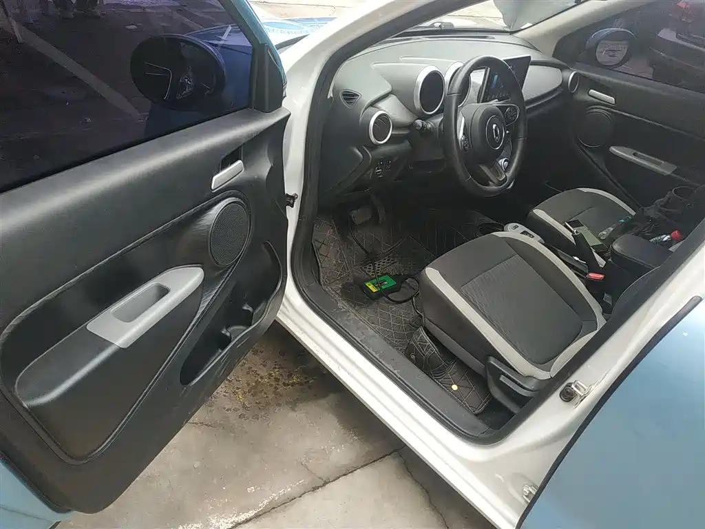 Euler Black Cat 2021 Model 301km Basic Type