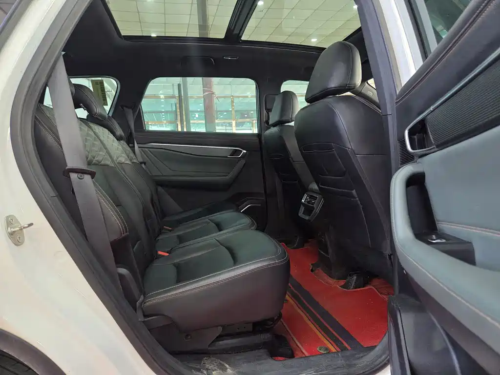 Haoyue L 2024 2.0T DCT flagship model