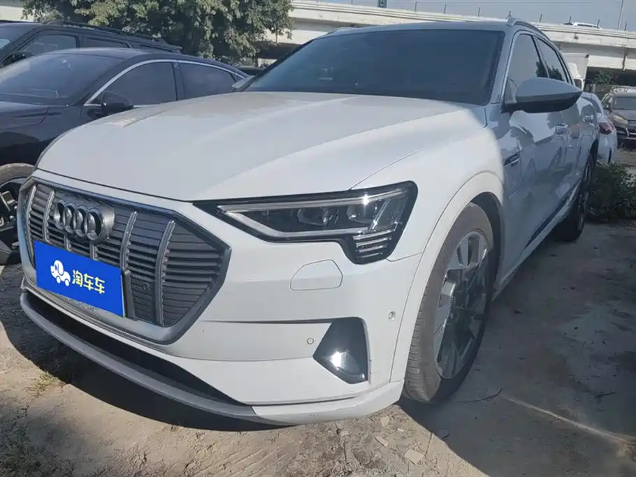 Audi e-tron (imported) 2019 model 55 quattro technical type