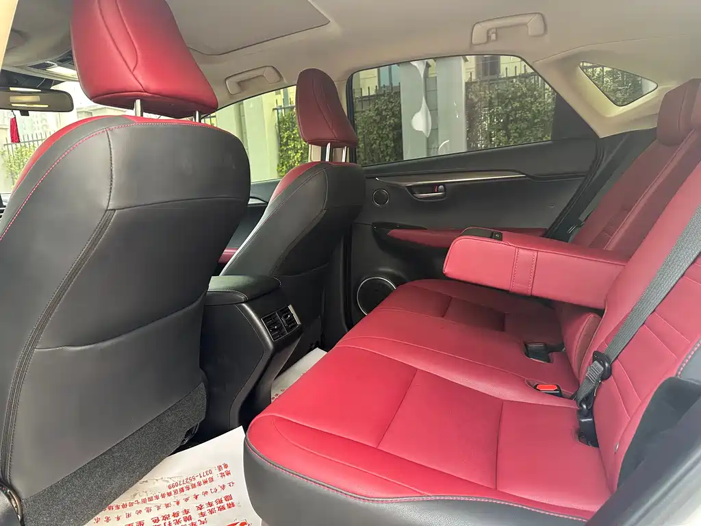 Lexus NX 2020 200 full Drive Fengshang Version Country VI