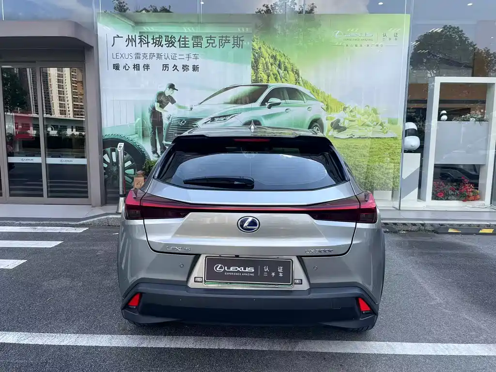 Lexus UX New Energy 2020 Model 300e Pure*Yue Edition