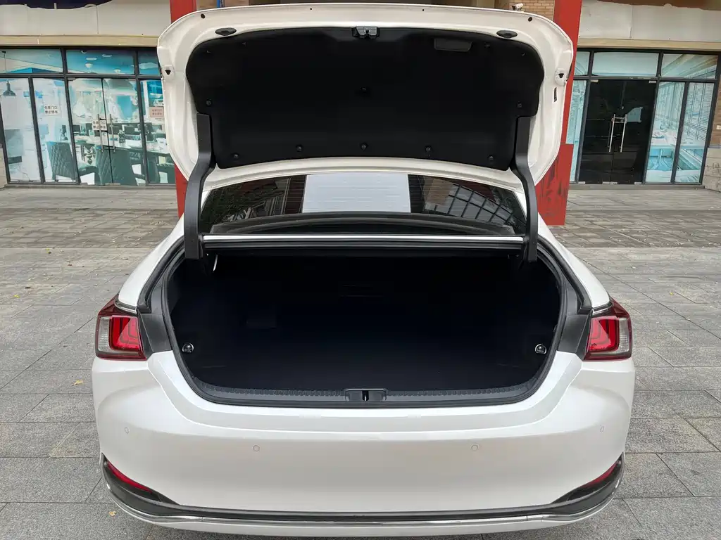 Lexus ES 2021 300h Excellent Edition