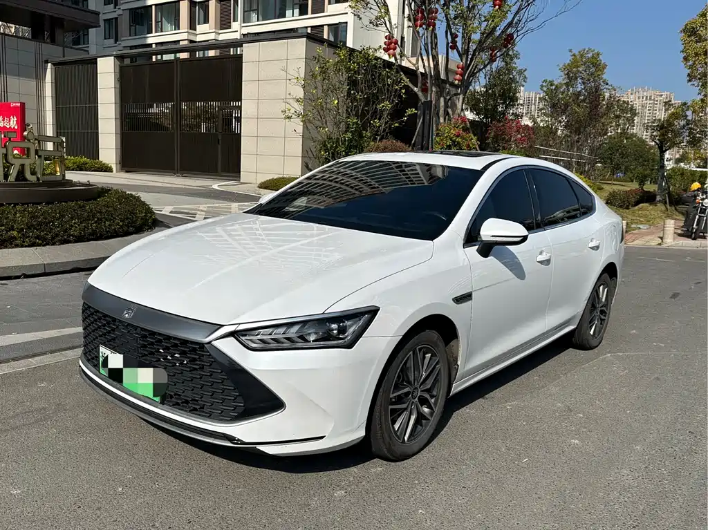 Qin PLUS 2023 Champion Version DM-i 120KM Leading Type