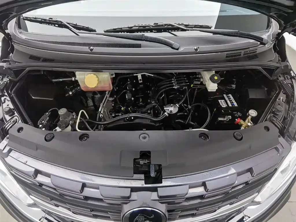 Lingzhi PLUS 2024 2.0L manual luxury CNG 7-seater