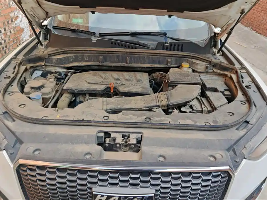 Haval F5 2019 National Tide Version 1.5T i Tide Country VI