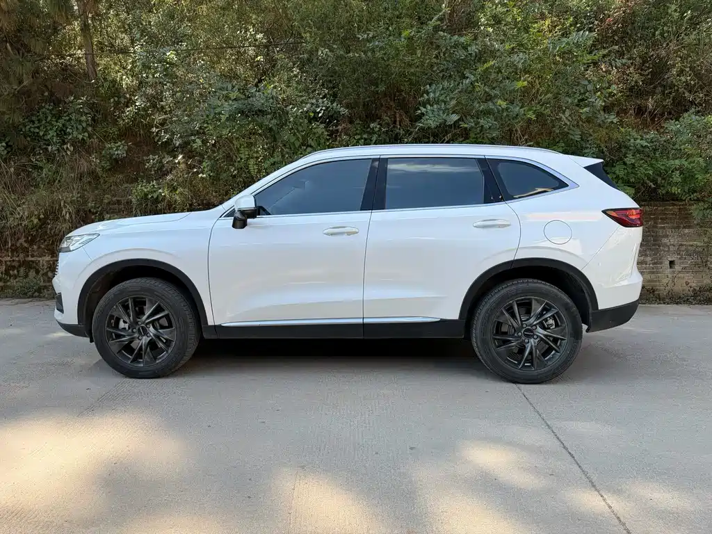 Haval H6 New Energy 2023 DHT-PHEV 110KM Smooth Version